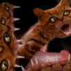 Meowpurrdy