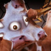 MOO!