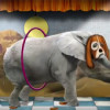 Freak Show