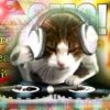 Ultra Mega Dance Party